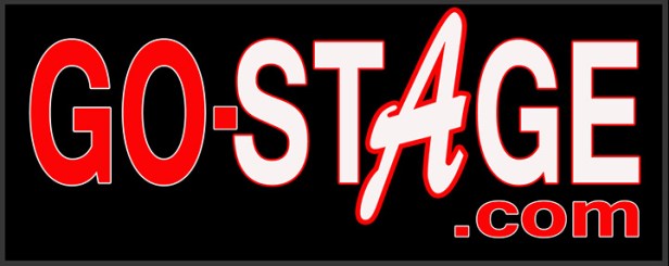 Logo GO-STAGE (web)