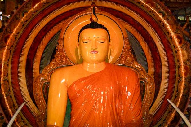 Zasmi Arel_DSCN3626-0