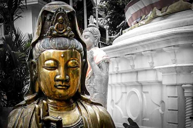 Zasmi Arel_DSCN3632-0