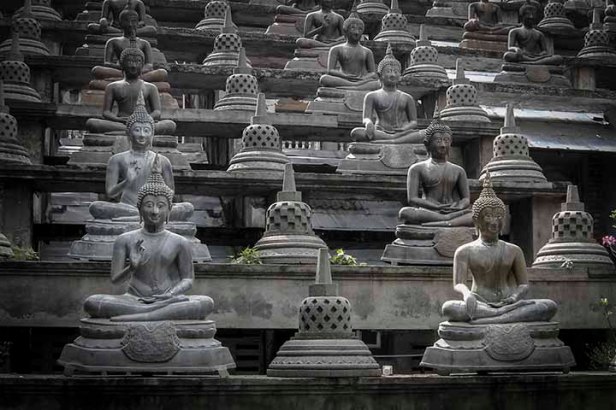 Zasmi Arel_DSCN3634-0