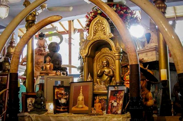 Zasmi Arel_DSCN3639-0