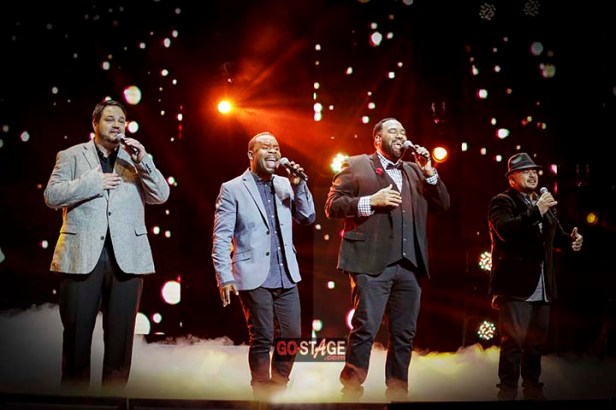 Zasmi Arel_IMG_8767-0